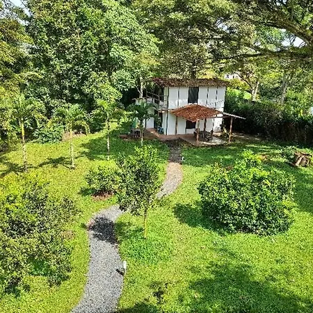 Cabanas En El Bosque Borrero Ayerbe Exterior photo