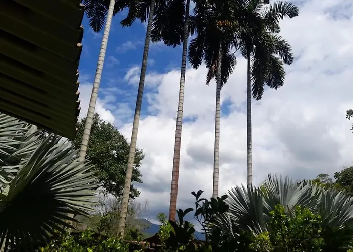 Cabañas en el Bosque