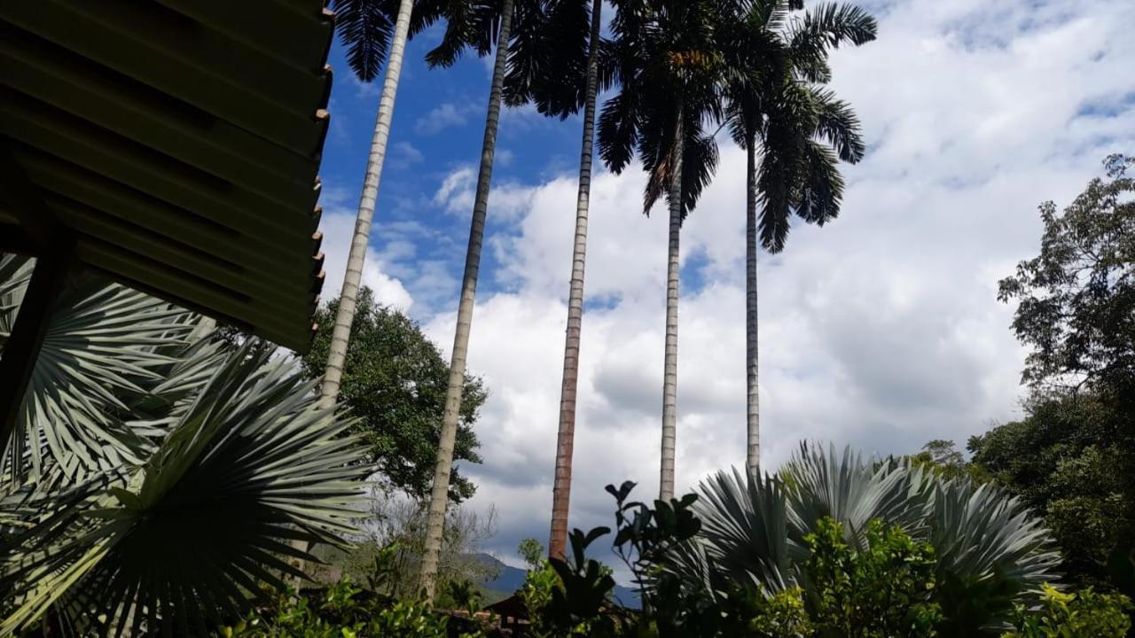 En El Bosque Сasa de vacaciones