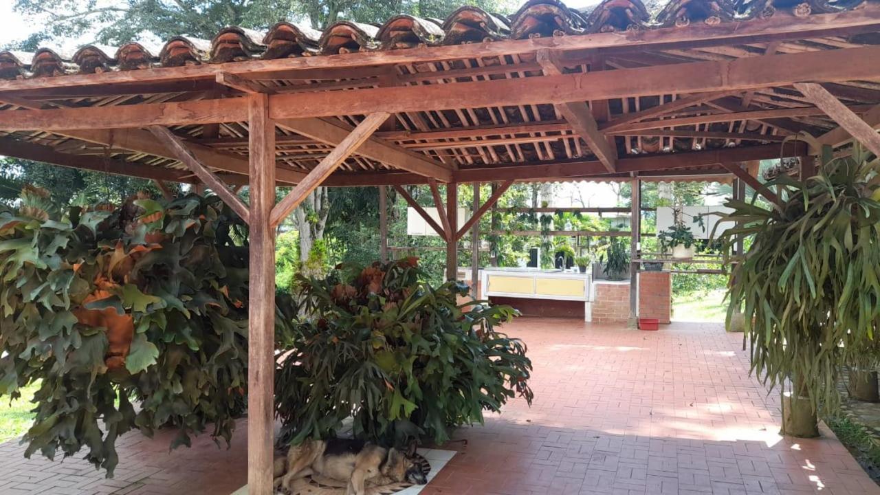 En El Bosque * Borrero Ayerbe