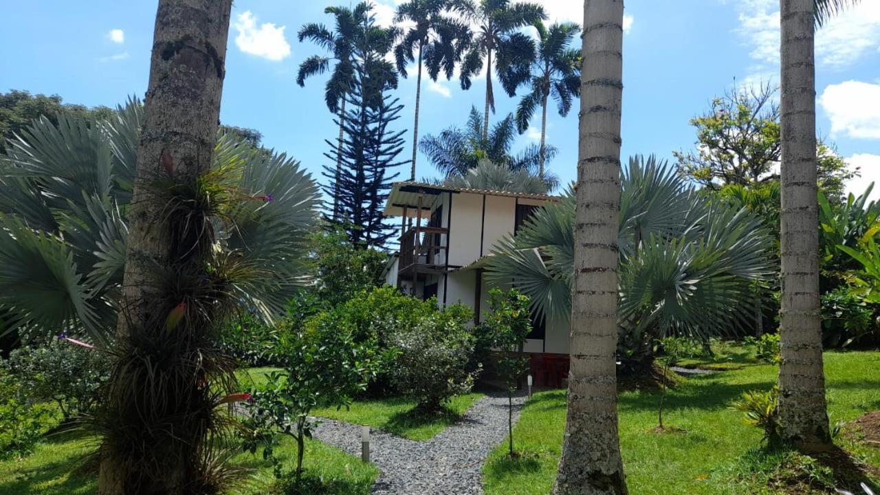 En El Bosque Сasa de vacaciones *